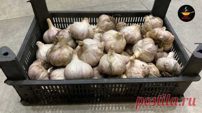Как хранить чеснок целый год, не давая ему засохнуть и прорасти
Купили целую сетку чеснока по выгодной цене или собрали богатый урожай с грядки? Теперь главная задача — не дать ему испортиться.

Чеснок боится всего двух вещей: излишней влаги, которая заставляет его гнить и прорастать, и чрезмерной сухости, от которой он превращается в безвкусную мумию.

Цель любого способа хранения — найти между ними баланс. В моей статье — только рабочие и практичные советы, как сохранить...