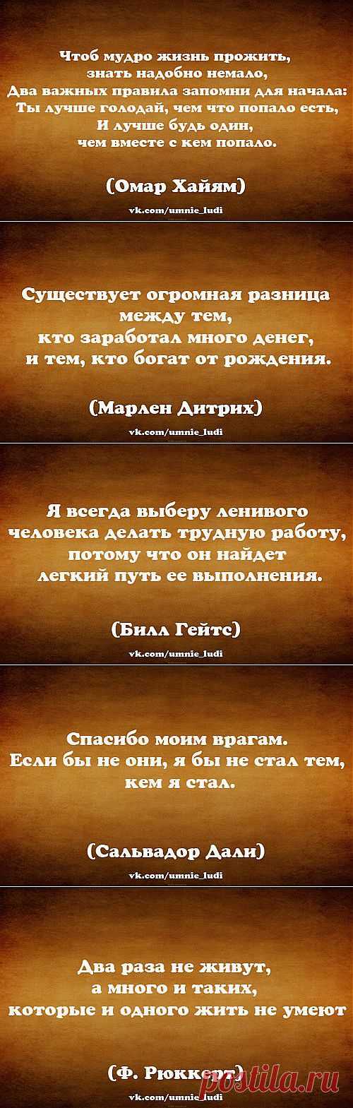 УМНЫЕ ЛЮДИ