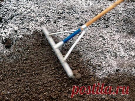 Как раскислить почву на участке – полезные советы для садоводов и огородников На грядах плохо растут овощи и ягоды, зато пышно зеленеют мох и мокрица, покрывая каждый свободный сантиметр? Поздравляем, кислотность почвы явно превышает все нормы. Но не отчаивайтесь – мы расскажем...