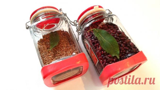 Моль в Крупе, Муке и Одежде никогда не заведётся! | Грузинская Кухня от Софии | Яндекс Дзен