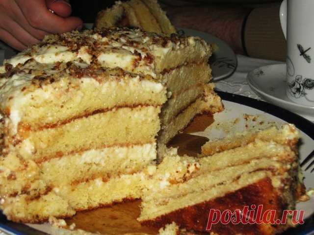 Такое блюдо из кабачков заслуживает 