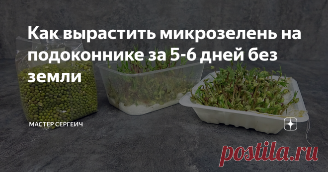 Как вырастить микрозелень на подоконнике за 5-6 дней без земли До зимы еще далеко, но мне уже захотелось что-нибудь вырастить на подоконнике, на балконе. Решил вырастить микрозелень из Маша (по-другому Мунг или фасоль азиатская), которую купил в магазине. Честно говоря, я сомневался, нормально ли прорастет магазинная крупа. Но, забегая вперед, скажу, проросла просто отлично!
Проращивать решил в одноразовых контейнерах и пластиковой
