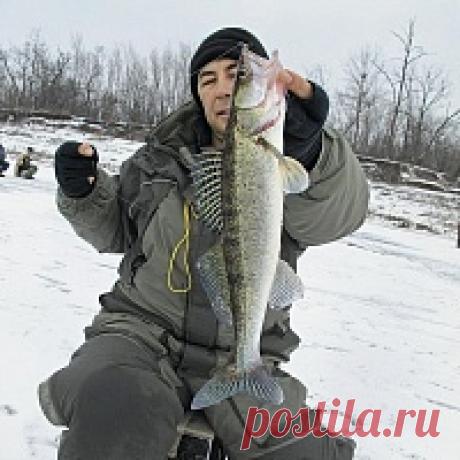 «Чёртик» на течении 



Я уже однажды писал об одном из волжских затонов, который назвал универсальным, так как в нём можно ловить спиннингом и удочкой. Полюбившийся мне осенью затон решил непременно обловить зимой, когд…