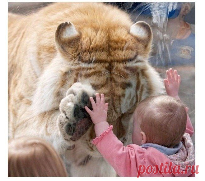 Мой Мир@Mail.Ru