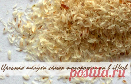 Цельная шелуха семян подорожника в iHerb
https://iherb.co/QMgNhhh
Пищеварение заработает как часы - мягкое действие без дискомфорта.

 Безупречно работающий, натуральный природный продукт для оздоровления организма и мягкого очищения кишечника. 100% окажется незаменимым помощником для обладателей "ленивых" желудков. Если заменить ужин стаканом кефира с разведенным в нём псиллиумом - процесс избавления от ненавистных килограммов значительно ускориться - проверено на себе!
Показать полностью…
