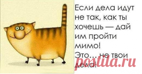 Всем здововья и позитива!!!