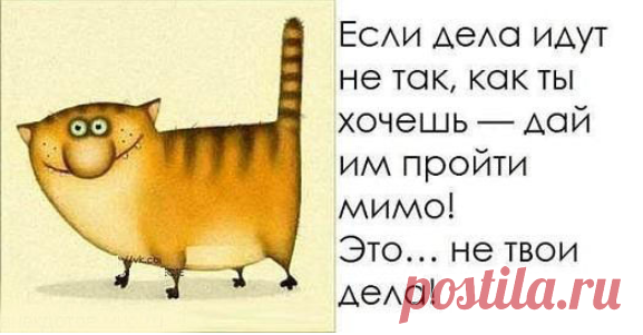 Всем здововья и позитива!!!