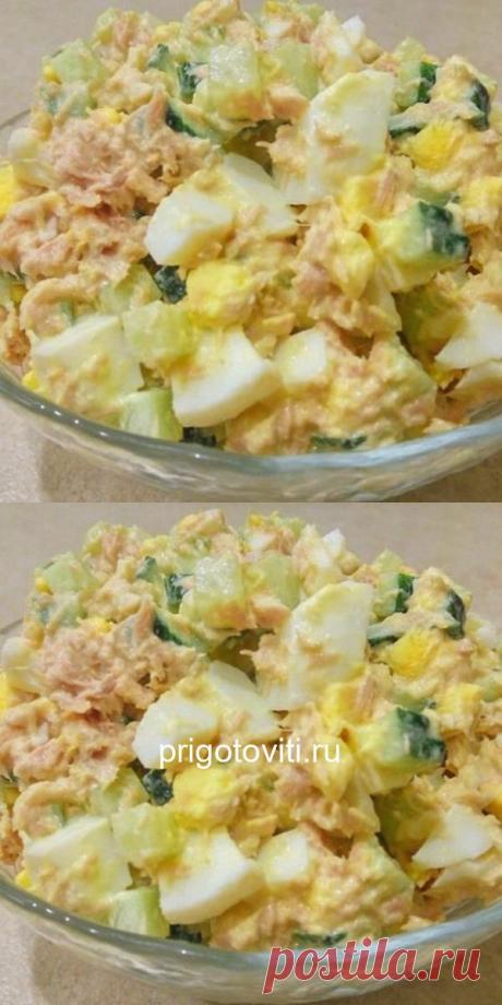 Салат с тунцом – вкусно, быстро и просто! - Все своими руками