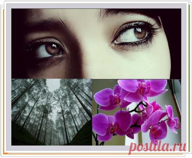 Сценарий на неудачу / САМ СЕБЕ ПСИХОЛОГ/Иногда родители прибегают к физическим методам наказания детей за проступки: битью ремнем, лозой, рукой. Это в любом случае совершенно неприемлемо для современного мира.