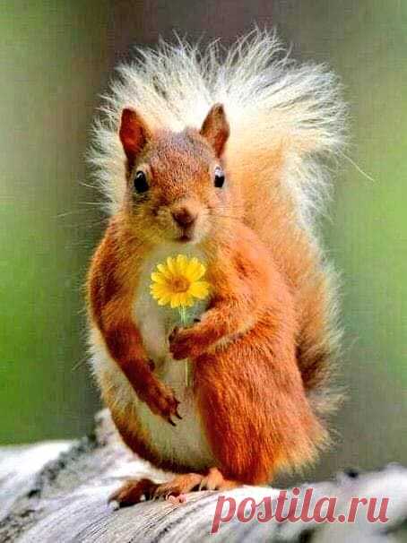 Login on Twitter