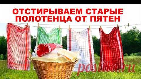 Статьи, новости и видео от популярных блогеров и СМИ | Будь в теме — будь в Дзене