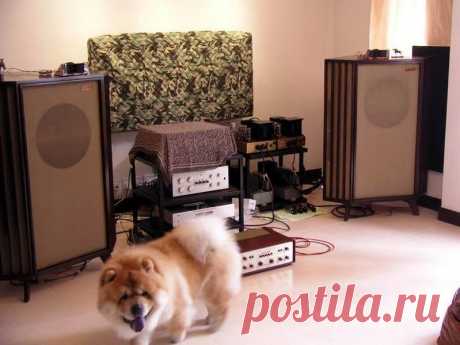 Tannoy 15&quot; Silver in corner York