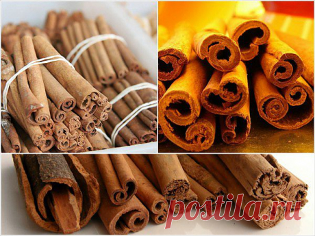 Health Benefits and Uses of Cinnamon | Healthy Food House