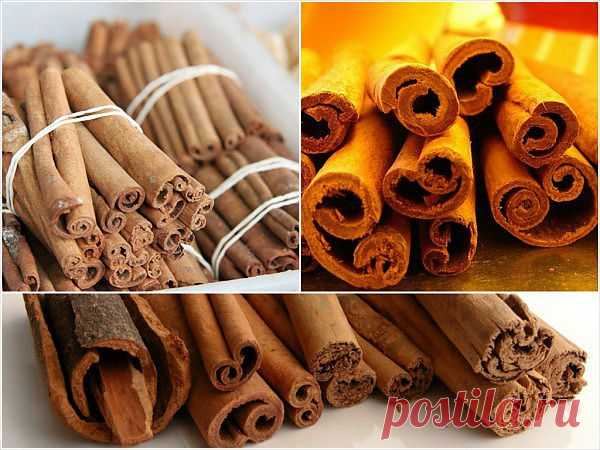 Health Benefits and Uses of Cinnamon | Healthy Food House