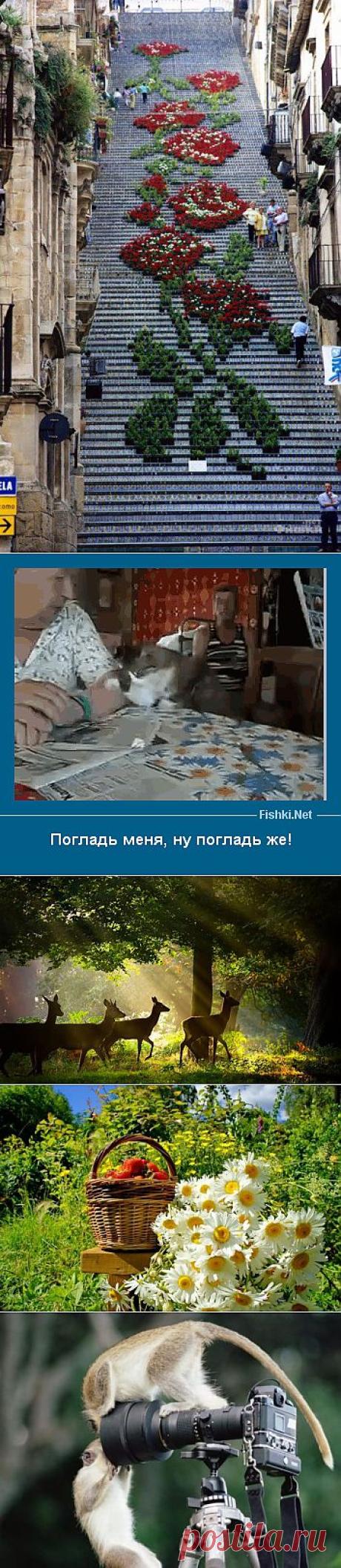 Прекрасный Мир : Сегодня Коллекция Красивых и Забавные Фото