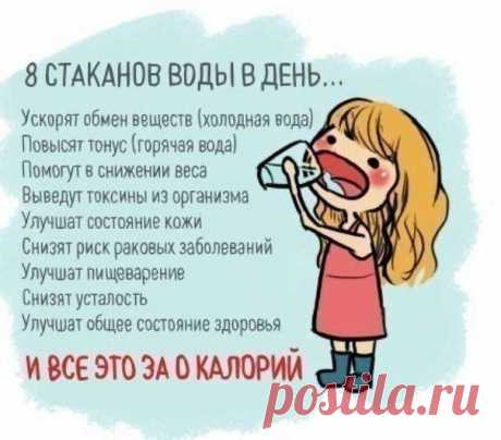 Мои закладки