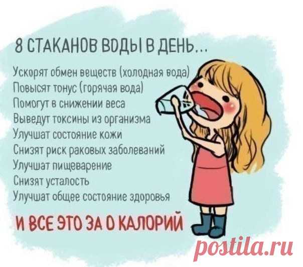 Мои закладки