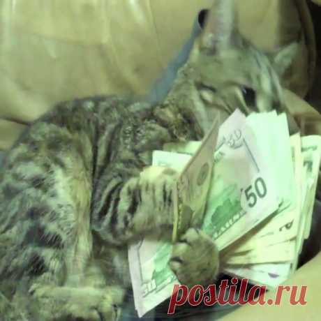(2) Facebook
