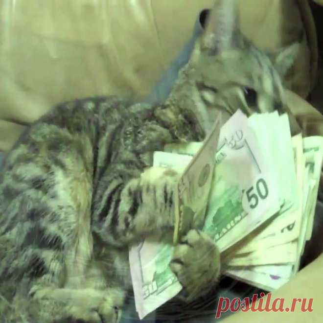 (2) Facebook