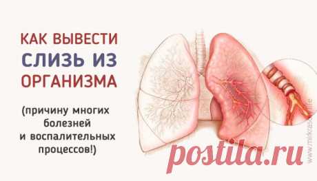 Как Вывести Слизь Из Организма