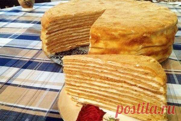 Медовик сказочный