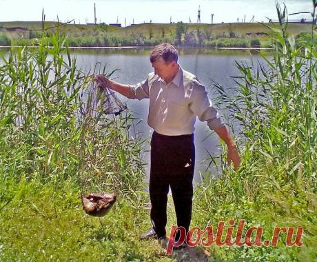 Весенний карась: как быстро приготовить его любимую прикормку? | Рыбалка для людей | Яндекс Дзен
