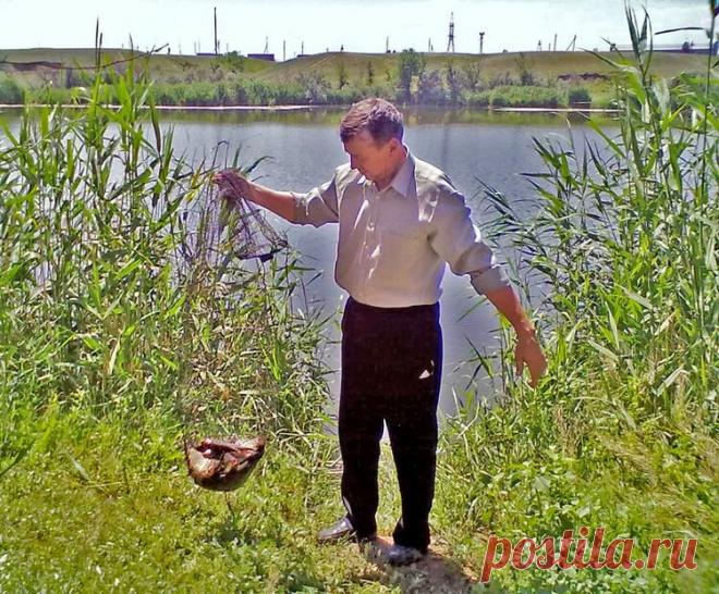 Весенний карась: как быстро приготовить его любимую прикормку? | Рыбалка для людей | Яндекс Дзен