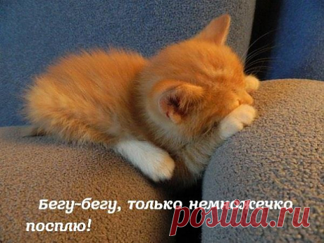 устал, бедолага...