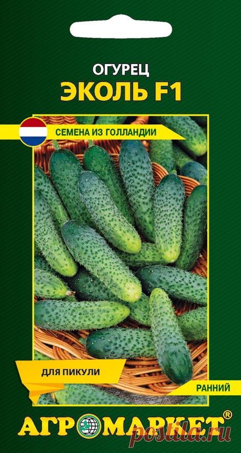 Огурец Эколь F1