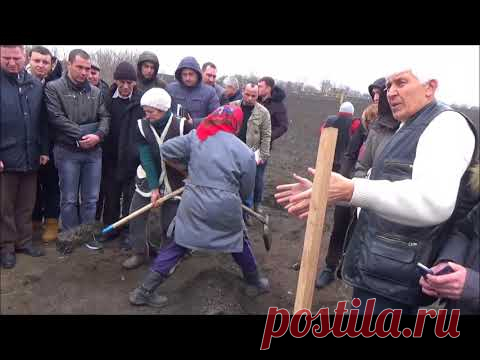 Семинар по ореховодству  Весенняя посадка  Март 2018