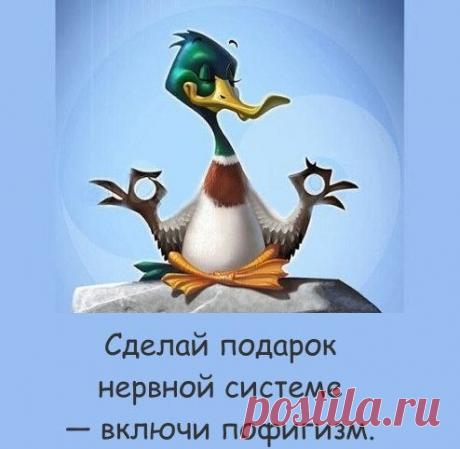 Мода пышных форм - Одежда больших размеров