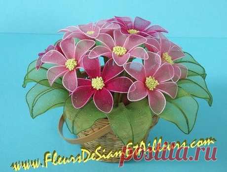 Сарочка Черныш
Израиль, Petah Tikva