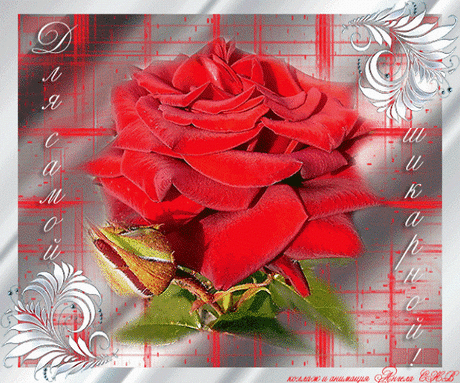 (16) Мой Мир@Mail.Ru