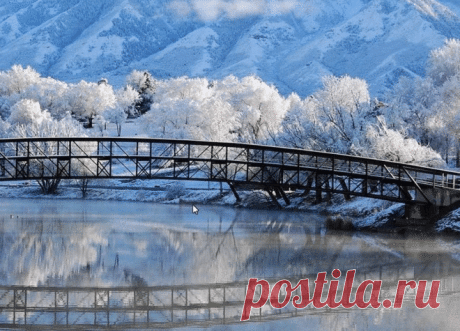 Gyazo - 1d0e98ebf4804197df4e73a1d6f76788.gif