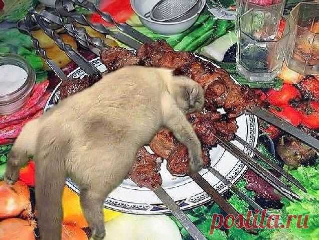 Когда жизнь... удалась!!!