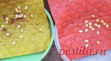 Когда сеять семена перца на рассаду