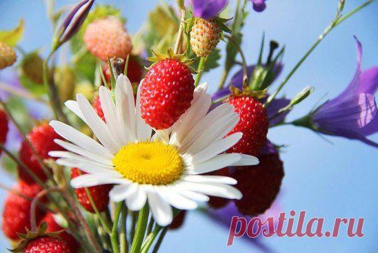 (99) Одноклассники