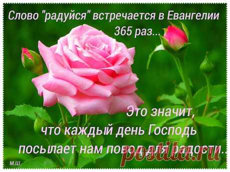 Дневник LYDMILKA