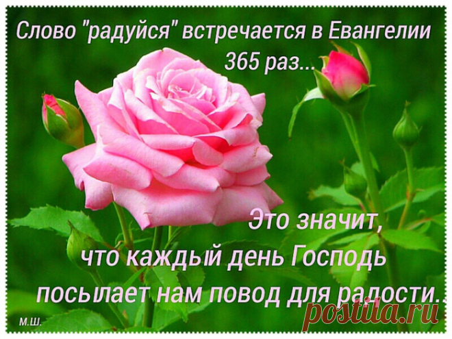 Дневник LYDMILKA