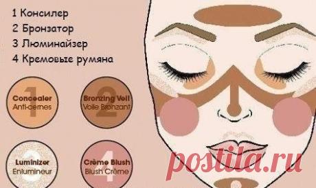 На какие области лица наносить консилер, люминайзер, бронзатор, румяна! — Модно / Nemodno
