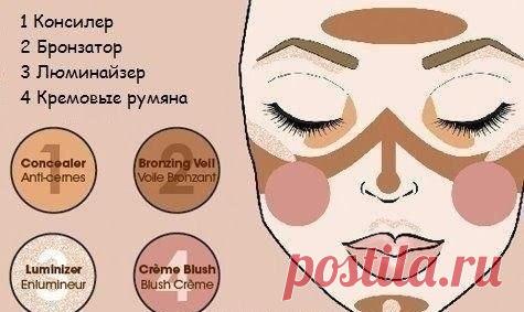 На какие области лица наносить консилер, люминайзер, бронзатор, румяна! — Модно / Nemodno