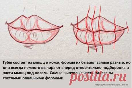 Академия Живописи Онлайн