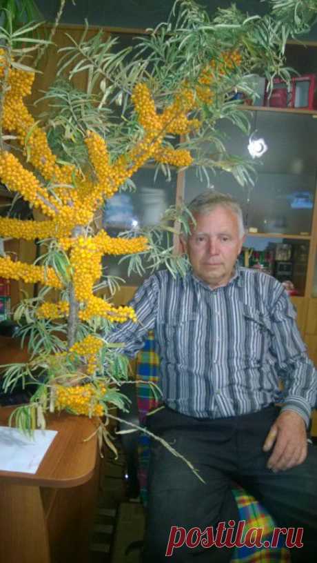 Николай Пхиденко
67 лет, Россия, г. Фролово (Фроловский район)