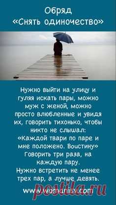 (587) Pinterest