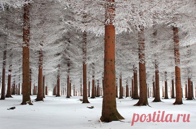 Завораживающие зимние пейзажи