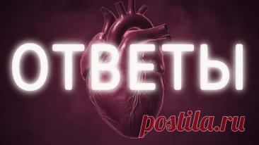 Забери пятёрку легко! | PortalBio