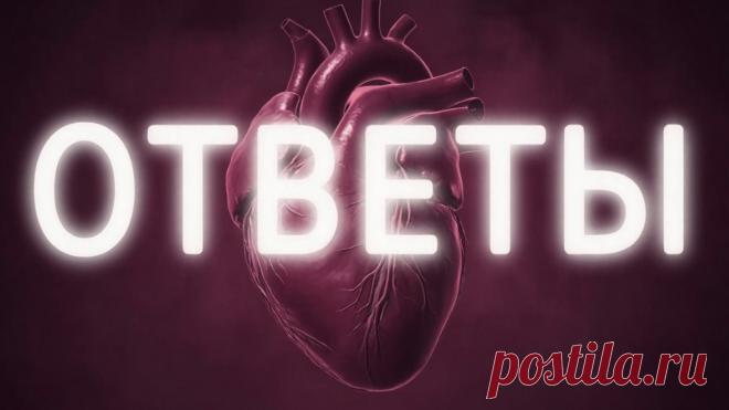 Забери пятёрку легко! | PortalBio