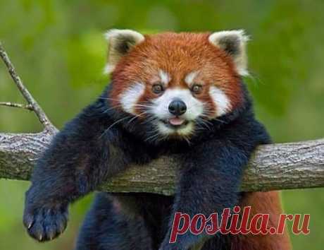 МИР ПОЗДРАВЛЕНИЙ И ОТКРЫТОК...
Лариса Щербакова (Кузнецова)