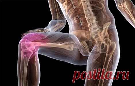 Народные средства при болях в суставах