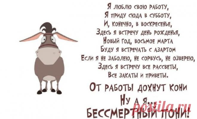 Юмор о работе и о тех кто пашет как лошадь: анекдоты, веселые картинки